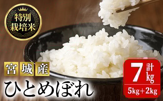 <令和5年産>特別栽培米 ひとめぼれ 7kg お米 おこめ 米 コメ 白米 ご飯 ごはん おにぎり お弁当 有機質肥料【JA新みやぎ】ta219宮城県大和町14000米・パン白米