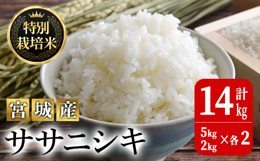 <令和5年産>特別栽培米 ササニシキ 合計14kg お米 おこめ 米 コメ 白米 ご飯 ごはん おにぎり お弁当 有機質肥料【JA新みやぎ】ta222宮城県大和町26000米・パン白米