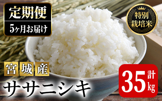 <5ヶ月定期便>特別栽培米 ササニシキ 7kg×5回 (全35kg) お米 おこめ 米 コメ 白米 ご飯 ごはん おにぎり お弁当 有機質肥料 頒布会【JA新みやぎ】ta224宮城県大和町65000米・パン白米