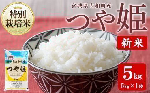 【令和7年産 新米】特別栽培米 つや姫 5kg お米 おこめ 米 コメ 白米 ご飯 ごはん おにぎり お弁当【農事組合法人若木の里】ta536宮城県大和町17000米・パン白米