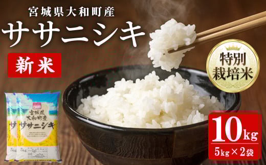 【令和7年産 新米】特別栽培米 ササニシキ 10kg お米 おこめ 米 コメ 白米 ご飯 ごはん おにぎり お弁当【農事組合法人若木の里】ta534宮城県大和町30000米・パン白米
