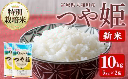 【令和7年産 新米】特別栽培米 つや姫 10kg お米 おこめ 米 コメ 白米 ご飯 ごはん おにぎり お弁当【農事組合法人若木の里】ta537宮城県大和町30000米・パン白米