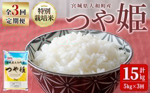 yߘa7NYz3ցʍ͔| P 5kg×3(v15kg)    R   ͂ ɂ ٓ Еzy_g@l؂̗zta547{錧a46000āEp