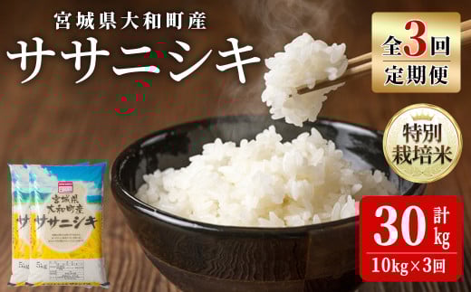 【令和7年産】<3か月定期便>特別栽培米 ササニシキ 10kg×3回(合計30kg) お米 おこめ 米 コメ 白米 ご飯 ごはん おにぎり お弁当 頒布会【農事組合法人若木の里】ta544宮城県大和町84000米・パ