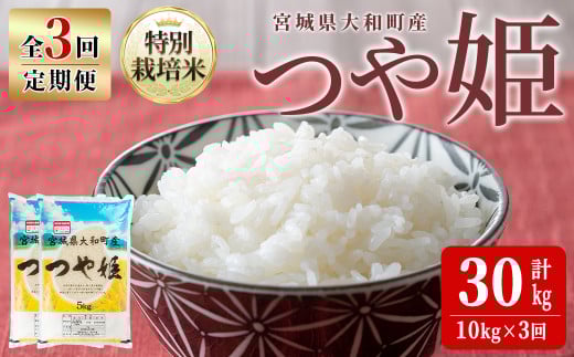 yߘa7NYz3ցʍ͔| P 10kg×3(v30kg)    R   ͂ ɂ ٓ Еzy_g@l؂̗zta548{錧a84000āEp