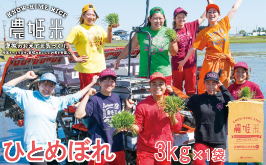 令和4年産農姫米(ひとめぼれ) 3kg×1袋 お米 おこめ 米 コメ 白米 ご飯 ごはん おにぎり お弁当【株式会社五十嵐商会】ta213宮城県大和町6000米・パン白米