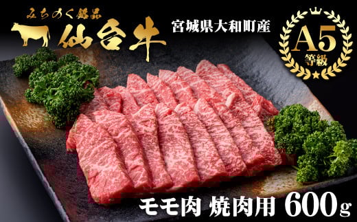 䋍 (ēp) 600g јa  Ԑg Y   A5 Ă BBQ Ⓚ {錧aYyLЍt@[zta268{錧a24000