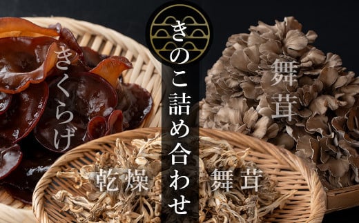 七つ森ふもと舞茸  詰め合わせギフトセット Lサイズ まいたけ マイタケ きくらげ 乾燥舞茸 きのこセット 農家直送 天ぷら すき焼き 炊き込みご飯 宮城県産 ギフト 詰め合わせ【株式会社七