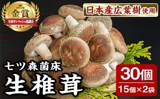 cXۏő 15×2  ő  VC^P ̂ ݂ aH   Xe[L l Y {錧Y y_g@lcXۏőYgzta385{錧a7000