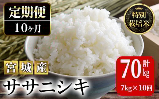<10か月定期便>特別栽培米 ササニシキ 7kg×10回 (全70kg) お米 おこめ 米 コメ 白米 ご飯 ごはん おにぎり お弁当 有機質肥料 頒布会【JA新みやぎ】ta227宮城県大和町128000米・パン白米