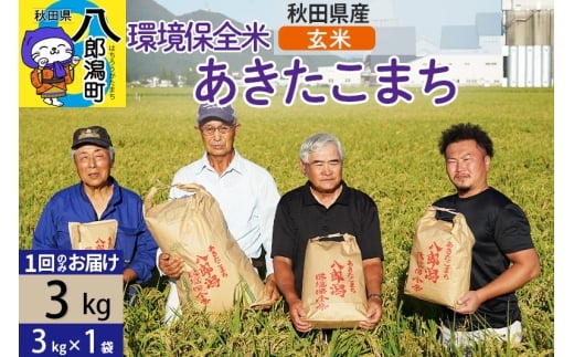 【玄米】令和7年産 秋田県産 あきたこまち 環境保全米 3kg (3kg×1袋)秋田県八郎潟町10500米・パン白米