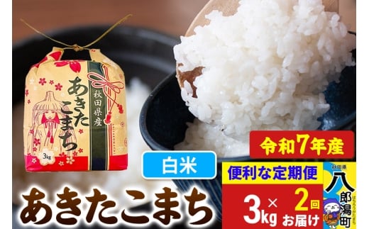 《定期便2ヶ月》【新米】 あきたこまち 3kg×1袋【白米】令和7年産 秋田県産 こまちライン秋田県八郎潟町24000米・パン白米