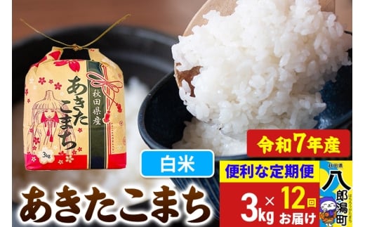 《定期便12ヶ月》【新米】 あきたこまち 3kg×1袋【白米】令和7年産 秋田県産 こまちライン秋田県八郎潟町144000米・パン白米