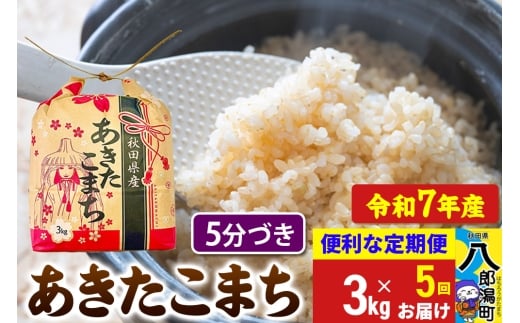 《定期便5ヶ月》【新米】 あきたこまち 3kg×1袋【5分づき】令和7年産 秋田県産 こまちライン秋田県八郎潟町60000米・パン白米