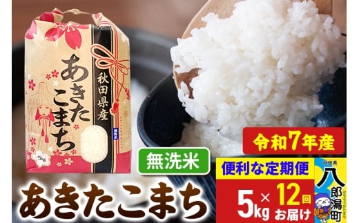 《定期便12ヶ月》【新米】 あきたこまち 5kg【無洗米】令和7年産 秋田県産 こまちライン秋田県八郎潟町204000米・パン白米