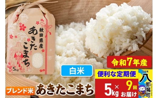 《定期便9ヶ月》【新米】 あきたこまち ブレンド米 5kg【白米】令和7年産 秋田県産 こまちライン秋田県八郎潟町144000米・パン白米