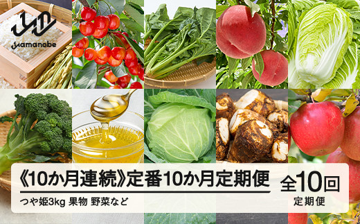 山形県産  10カ月連続  定番10か月定期便  産直 やまのべ温泉市  野菜 果物 米  F20A-569 ※沖縄・離島への配送不可山形県山辺町168000野菜・きのこその他 野菜