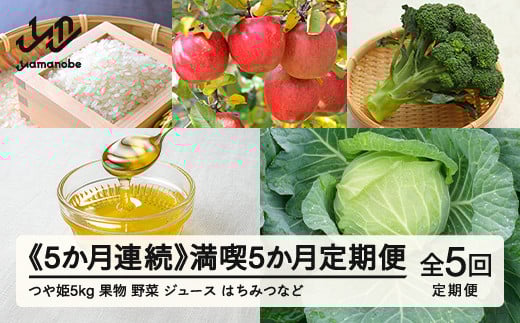 山形県産  5カ月連続 満喫5か月定期便  産直 やまのべ温泉市  野菜 果物 米  F20A-570 ※沖縄・離島への配送不可山形県山辺町168000野菜・きのこその他 野菜