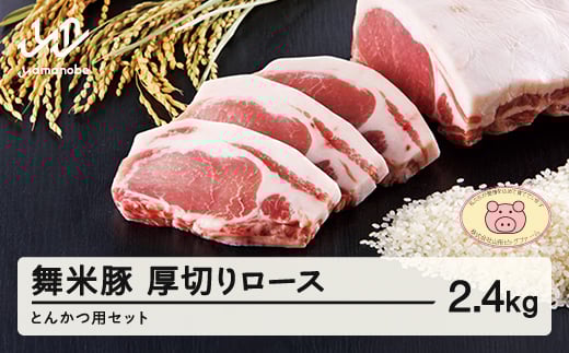 山形県産 ブランド豚 厚切りロースとんかつ用セット 2.4kg F20A-571山形県山辺町34000肉豚肉