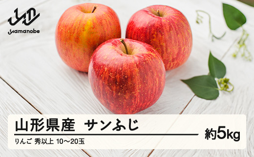 《先行予約》2025年 山形県産 サンふじりんご 秀以上 5kg(10~20玉)2025年12月上旬から順次発送 果物 くだもの フルーツ 秋果実 林檎 リンゴ F20A-148山形県山辺町10000果物・フルーツりんご・梨