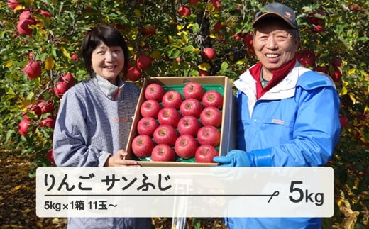 《先行予約》令和7年産 2025年 山形県産 りんご サンふじ 約5kg(11~20玉) 果物 ※沖縄・離島への配送不可 F20A-728山形県山辺町11000果物・フルーツりんご・梨