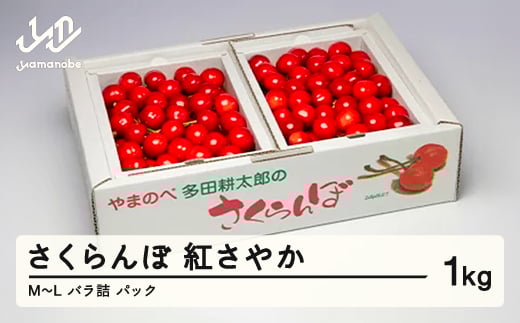 《先行予約》2026年 山形県産 紅さやか バラ詰め(パック)1kg M〜L やまのべ多田耕太郎のさくらんぼ サクランボ F20A-037山形県山辺町14000果物・フルーツさくらんぼ