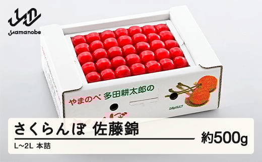 《先行予約》2026年 山形県産 佐藤錦 本詰め 約500g L~2L やまのべ多田耕太郎のさくらんぼ サクランボ F20A-042山形県山辺町22000果物・フルーツさくらんぼ