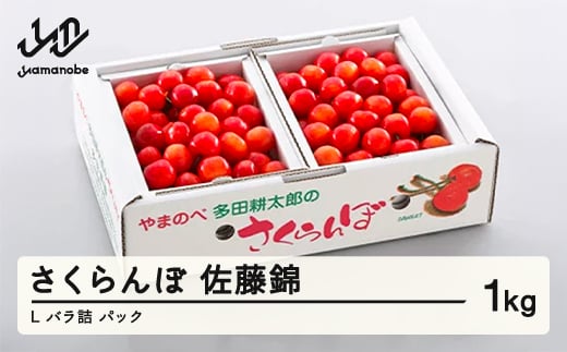《先行予約》2026年 山形県産 佐藤錦 バラ詰め(パック)1kg やまのべ多田耕太郎のさくらんぼ サクランボ F20A-048山形県山辺町24000果物・フルーツさくらんぼ