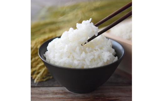 【先行予約】2024年(令和6年)産 山形県産 つや姫 精米 5kg sunnyfarm小関 sk-tssxb5 ※沖縄・離島への配送不可山形県山辺町8000米・パン白米