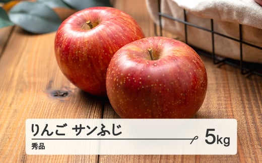 《先行予約》2025年 山形県産 サンふじ りんご 5kg(12〜20個) 秀 2025年11月下旬頃から順次発送 F21A-347山形県山辺町13000果物・フルーツりんご・梨