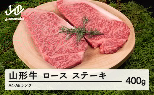R` [X Xe[L 2 v400g A4-A5N Ⓚ {Y tc-gnrxt400R`RӒ26000