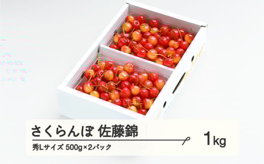 《先行予約》 さくらんぼ 佐藤錦 秀Lサイズ プレゼント ギフト バラ詰め 1kg(500g×2パック) 2026年産 令和8年産 山形県産 ns-snslb1山形県山辺町22000果物・フルーツさくらんぼ