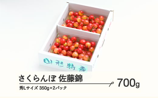 《先行予約》 さくらんぼ 佐藤錦 秀Lサイズ プレゼント ギフト バラ詰め 700g(350g×2パック) 2026年産 令和8年産 山形県産 ns-snslb700山形県山辺町17000果物・フルーツさくらんぼ