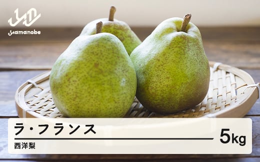 【先行予約】山形県産 西洋梨(ラ・フランス) 令和7年産 5kg tu-laxxx5 ※沖縄・離島配送不可山形県山辺町13000果物・フルーツりんご・梨