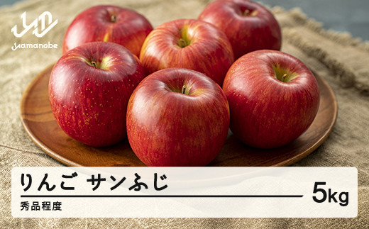 《先行予約》2025年 山形県産 サンふじ りんご 5kg(15玉程度) 秀品  ※沖縄・離島への配送不可 sa-risfs5山形県山辺町10000果物・フルーツりんご・梨