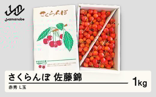 ys\z   ԏG L 1kg ol ƒp 2026NY ߘa8NY R`Y mm-snalx1000R`RӒ20000ʕEt[c