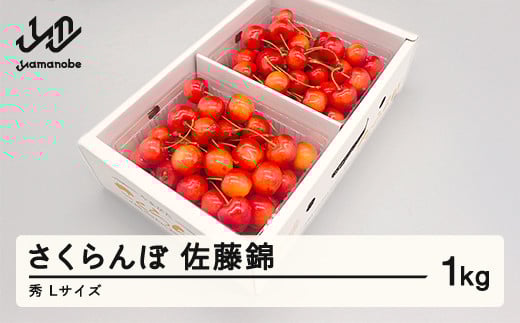 先行予約 さくらんぼ 佐藤錦 秀品 500g×2パック L玉 2026年産 令和8年産 山形県産 mm-snpsx1000山形県山辺町28500果物・フルーツさくらんぼ