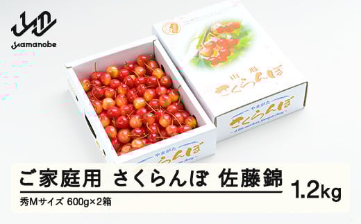 《先行予約》 さくらんぼ 佐藤錦 秀Mサイズ ご家庭用 バラ詰め 1.2kg(600g×2箱) 2026年産 令和8年産 山形県産 ns-snsmb1200山形県山辺町18000果物・フルーツさくらんぼ