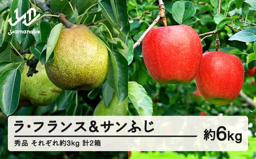ys\ztX TӂZbg 6kg e3kg(6~12x) e1 v2 Gix m  2025NY R`Y Eւ̔zs tf-fslrx3R`RӒ18000ʕEt[c