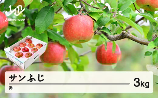 【先行予約】りんご サンふじ 約3kg 秀品 リンゴ 林檎 令和7年産 2025年産 果物 山形県産 mm-risfs3山形県山辺町10000果物・フルーツりんご・梨