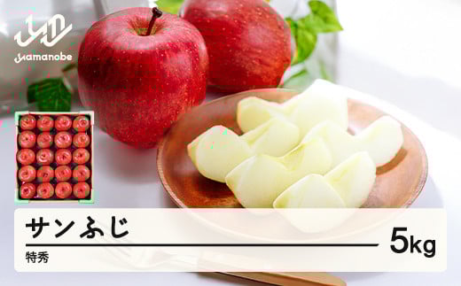 【先行予約】りんご サンふじ 約5kg 特秀品 リンゴ 林檎 令和7年産 2025年産 果物 山形県産 mm-risft5山形県山辺町18000果物・フルーツりんご・梨