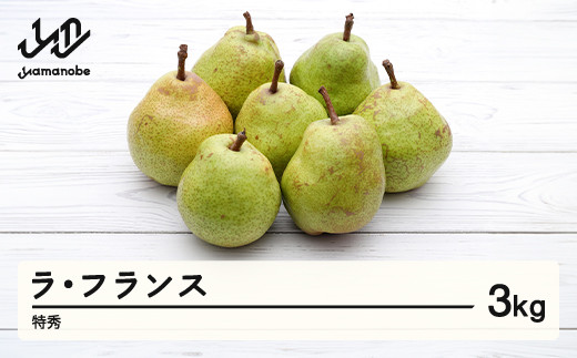 ラ・フランス 洋梨 ラフランス 3kg 特秀品 贈答 令和7年産 2025年産 果物 mm-latsx3山形県山辺町20000果物・フルーツりんご・梨