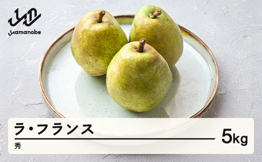 【先行予約】 ラ・フランス 秀品 5kg 洋梨 ラフランス 令和7年産 2025年産 果物 mm-lasxx5山形県山辺町15000果物・フルーツりんご・梨