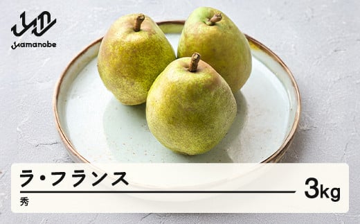 【先行予約】 ラ・フランス 秀品 3kg 洋梨 ラフランス 令和7年産 2025年産 果物 mm-lasxx3山形県山辺町10000果物・フルーツりんご・梨