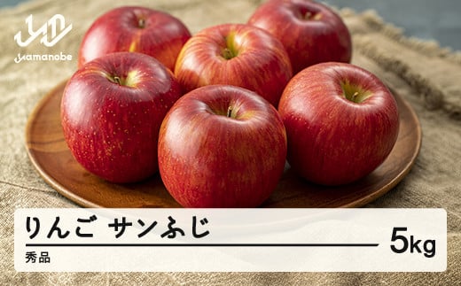 《先行予約》2025年 山形県産 サンふじ りんご 5kg(15玉程度) 秀品  ※沖縄・離島への配送不可 sa-risfs5-b山形県山辺町13000果物・フルーツりんご・梨