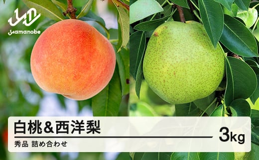 《先行予約》2026年 山形県産 白桃 & 西洋梨 詰め合わせ 秀品 品種おまかせ  もも 約3kg  令和8年産 ※沖縄・離島への配送不可 ns-fshyx3山形県山辺町11000果物・フルーツもも・すもも