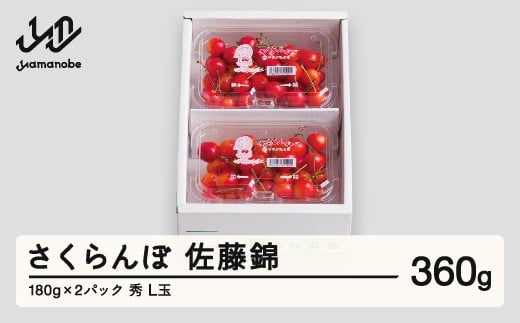 ys\z  Gi L 180g×2pbN  2026NY ߘa8NY R`Y mm-snplx400R`RӒ12000ʕEt[c