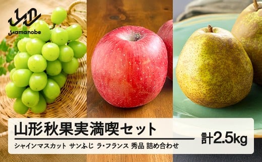 《先行予約》2025年 山形県産 山形秋果実満喫セット シャインマスカット サンふじ ラ・フランス 秀品 詰め合わせ 2.5kg 化粧箱入り 令和7年産 ※沖縄・離島への配送不可 ns-fsrls2500山形県山辺