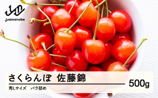 ss\t   GLTCY v[g Mtg ol 500g 2026NY ߘa8NY R`Y ns-snslb500R`RӒ12000ʕEt[c