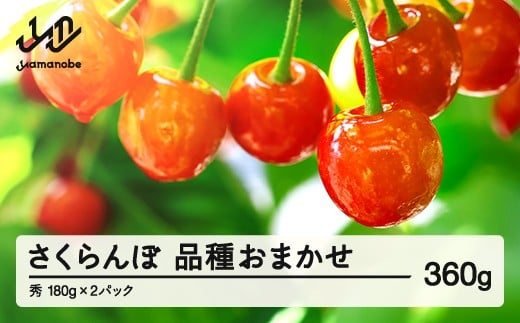 【先行予約】 さくらんぼ 品種おまかせ 秀品 約360g 令和8年産 2026年産 山形県産 フルーツ 果物 tf-saos360山形県山辺町9000果物・フルーツさくらんぼ